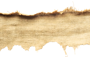 Torn burlap isolated on transparent background