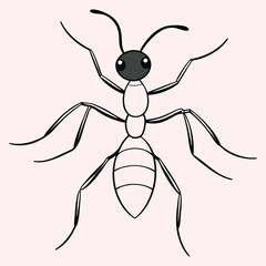Ants line art vector illustration