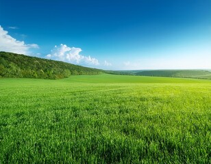 Fototapeta premium 맑은 하늘 아래