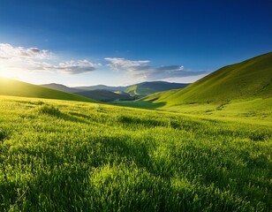 Obraz premium 푸른 초원의 아름다움