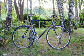 Fototapeta premium a bicycle leaning against a tree in a serene forest setting