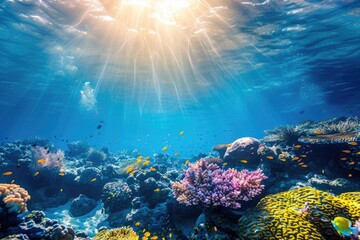 Underwater scene of coral reef illuminated by sunlight