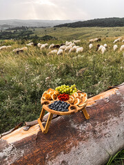 A wooden plate with fruits and cheeses on the background of a field with sheep. The concept of a picnic in nature