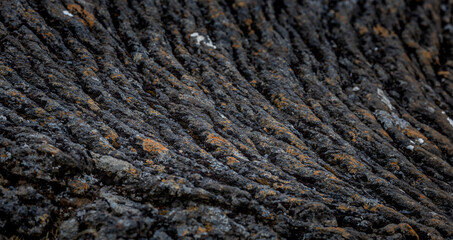 closeup of ropy pahoehoe lava flow, Þingvellir  (Thingvellir) National Park, Iceland