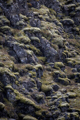 Moss-covered lava rocks at Thingvellir National Park, Iceland