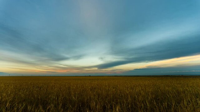 Sun set clouds drifting over peaceful wheat fields time lapse