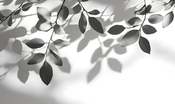 Branches with monotone leaves cast shadows on white background, Generative AI