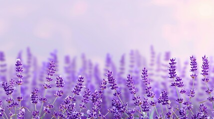 background for a dental website