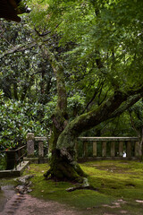 path in the park