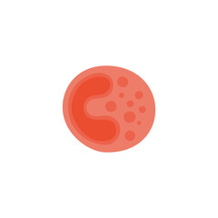 Basophil illustration 