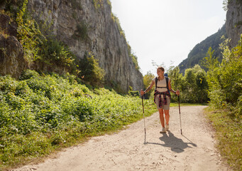 Obraz premium A hiker enjoying a beautiful scenic trail while using walking poles amidst natures beauty
