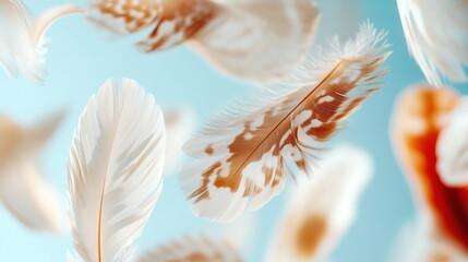 White and Brown Feathers Falling on Blue Background.