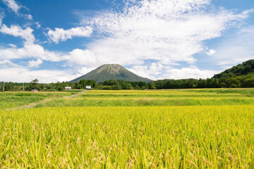 大山と棚田