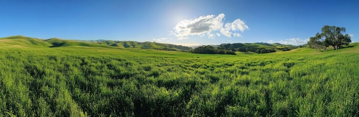 Fototapeta premium Green Hills Landscape.