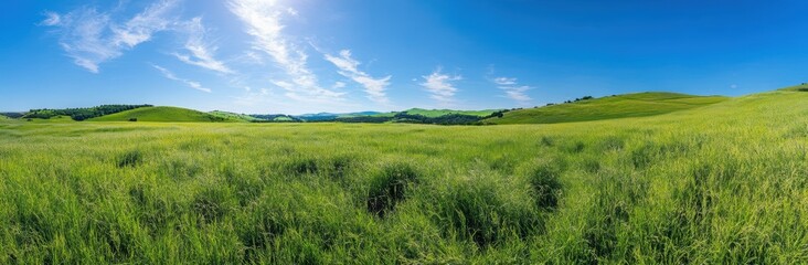 Obraz premium Green Field Landscape.