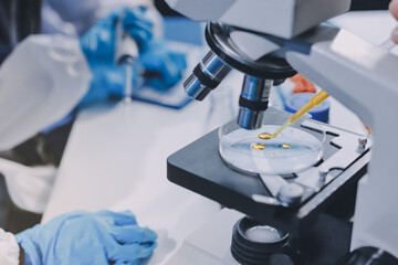 Scientist using microscope in laboratory. Close-up of a researcher's hands adjusting a modern microscope in a lab setting. Science concept