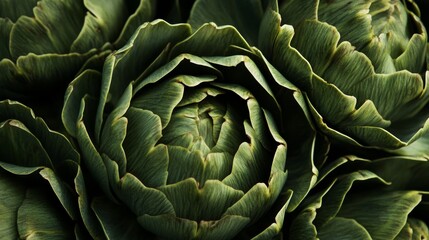 Fototapeta premium Close-up of a green artichoke with detailed texture