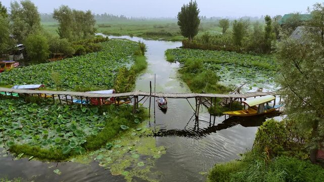 4k footage of a person rowing a Shikara under historic wooden bridges in Dal Lake&rsquo;s scenic interior. Perfect for travel, culture, or nature content, showcasing Kashmir&rsquo;s serene beauty and charm