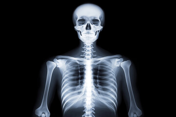 X-ray scan of a human skeleton, showing detailed bone structure with glowing highlights, used for medical study and diagnosis. 