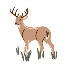 Hand drawn illustration of wild forest deer in grass. Wood woodland animal standing in nature, elegant simple minimalist print, graphic reindeer fauna, fall autumn element in natural ochre color on