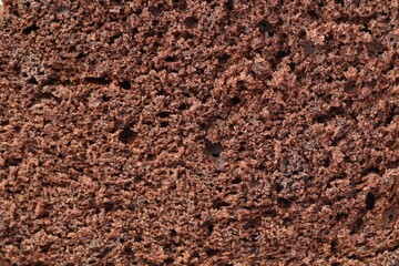 Tasty chocolate sponge cake as background, closeup