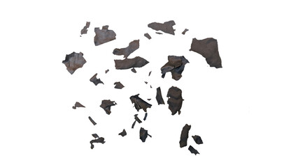 small pieces of burnt paper