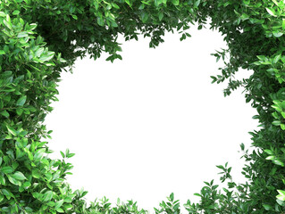 green leaves border on transparent background 