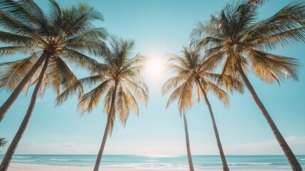 Fototapeta premium A serene beach view with palm trees and sunlight over the ocean.