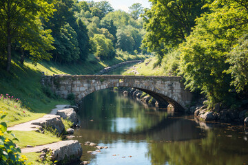 Fototapeta premium a river with a bridge and trees