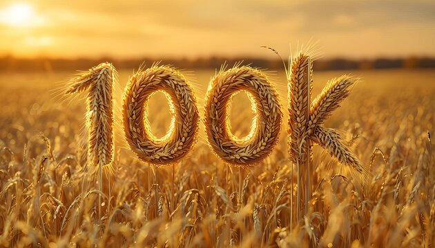 100k in wheat field at sunset, golden hues, perfect for agricultural milestone celebration