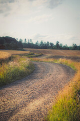 Fototapeta premium Close up of dirt road during autumn