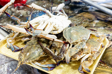Korean seafood ingredients fresh blue crab