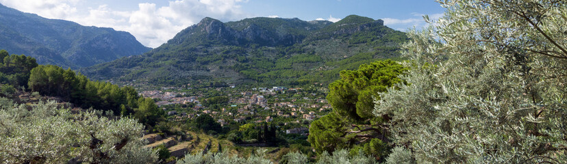 Obraz premium Panoramic view to the lush Söller valley with olive trees embedded in beautiful mountain range.