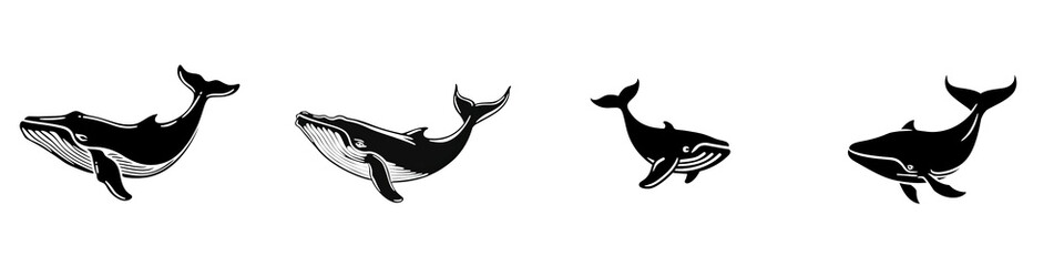 Obraz premium Illustration of various whale species on a white isolate background.