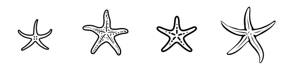 Starfish collection on a white isolated background, showcasing marine life diversity.