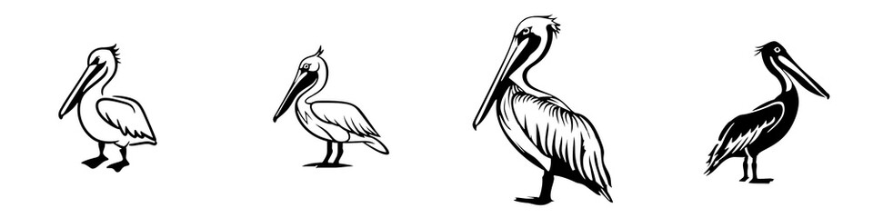 Two elegant flamingos standing gracefully against a white background.