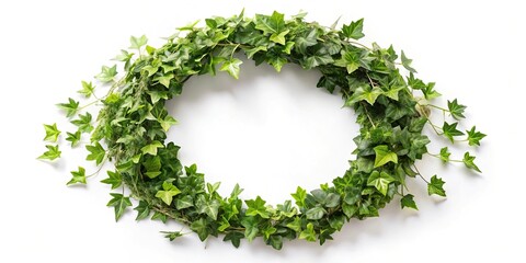 Green ivy wreath isolated on white background, top view