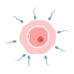 Fertilization concept with ovum and sperm in flat design.