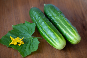 2 ORGANIC CUCUMBERS WITH FLOWERS AND LEAF ON WOODEN BACKGROUND