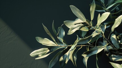 Close-up shot of a green leaved plant, great for nature and botanical photography