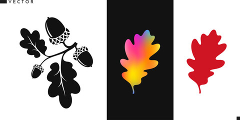 Bright autumn leaves. Isolated oak leaves with acorns. Vector illustration EPS10 © Aleksei_7799