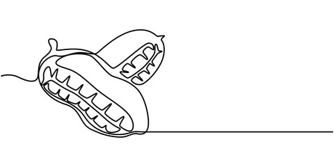 Peanut simple vector drawing. One continuous line art border, background, label design, Peanuts Drawing, One continuous line drawing of whole healthy organic peanut for snack product logo identity.