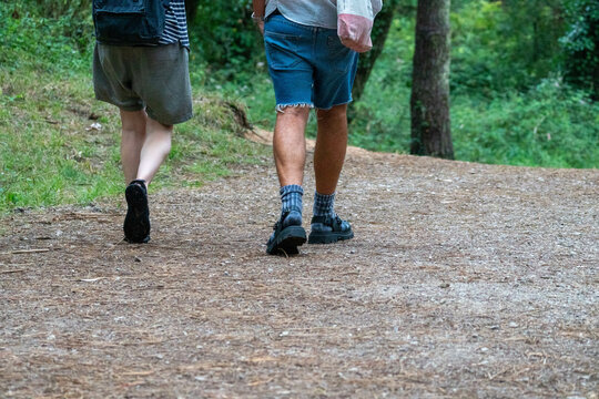 Familia caminando por un bosque de pinos