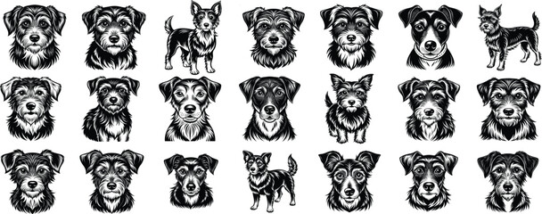 Dog silhouette collection vector. Dog in various poses and activities like jumping, sitting, running, playing, and standing. Silhouette black puppies, pet dog vector isolated on a white background.