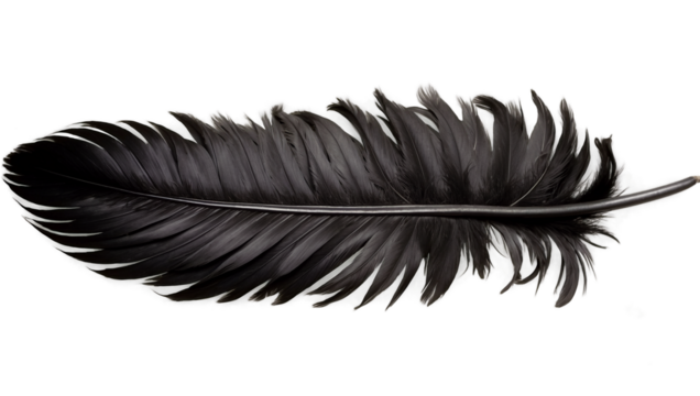 Black Feather