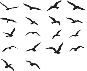 Set of sea gull flying silhouette