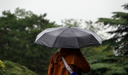 Une personne tenant un parapluie ouvert par temps de pluie