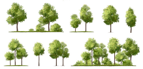  Vector watercolor green tree or forest side view isolated on white background for landscape and architecture drawing,elements for environment or and garden,Shrub for section