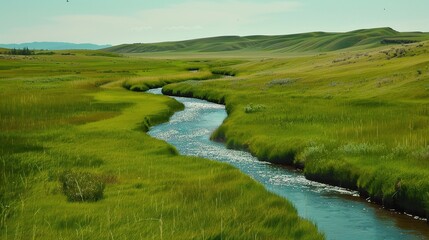 Beautiful Grassland River and Green Grassland Background: A Serene Natural Scene. Admire the Peace and Beauty