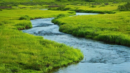 Beautiful Grassland River and Green Grassland Background: A Serene Natural Scene. Admire the Peace and Beauty